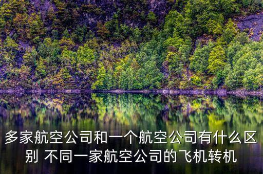 多家航空公司什么意思，同一架飛機有2家公司運營嗎我和我哥買的同一家飛機為什么是不