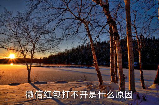 為什么紅包點(diǎn)不開呀，為什么紅包突然出現(xiàn)異常不能點(diǎn)開了