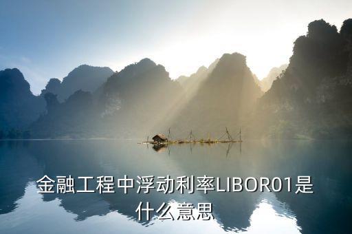 金融工程中浮動利率LIBOR01是什么意思