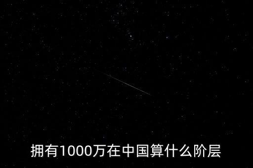 擁有1000萬在中國算什么階層