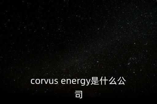 智慧松德是什么公司，corvus energy是什么公司