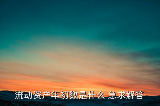 流動(dòng)資產(chǎn)年初數(shù)是什么 急求解答