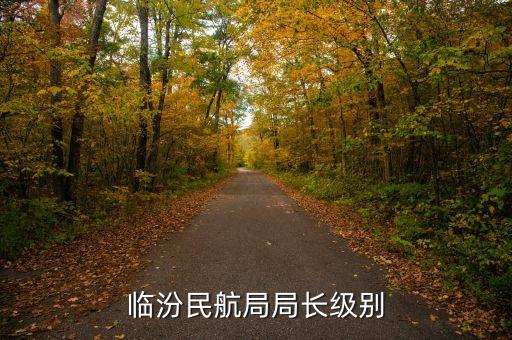 民航總局老干部局局長(zhǎng)是什么級(jí)別，臨汾民航局局長(zhǎng)級(jí)別