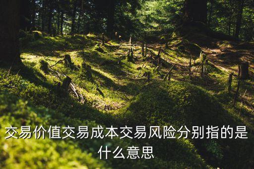 交易成本是什么，什么是交易費(fèi)用