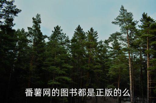 方正番薯什么公司，方正集團(tuán)怎么樣