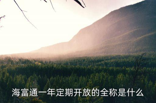 海富通一年定期開(kāi)放的全稱(chēng)是什么