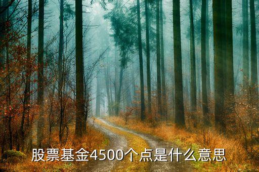 股票4500點(diǎn)是什么意思，4500點(diǎn)以下不減持是什么意思