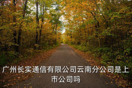 廣州長(zhǎng)實(shí)通信有限公司云南分公司是上市公司嗎