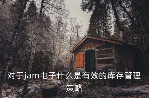 對(duì)于jam電子什么是有效的庫(kù)存管理策略