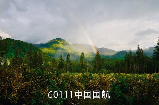 60111中國國航