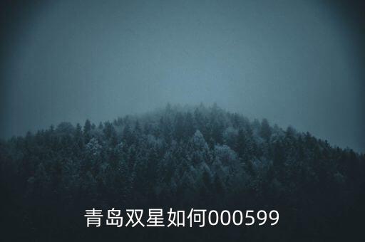 000599青島雙星集團(tuán)是什么感受，青島雙星如何000599