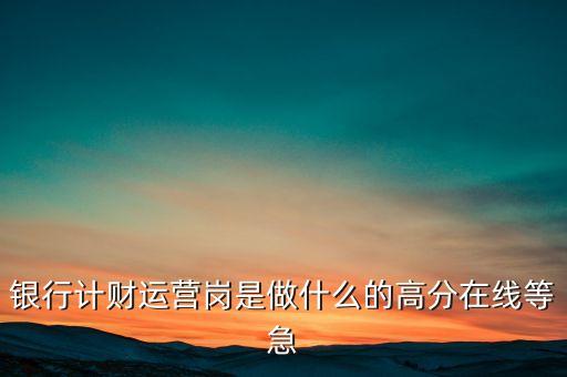 銀行計(jì)財(cái)運(yùn)營(yíng)崗是做什么的高分在線(xiàn)等急