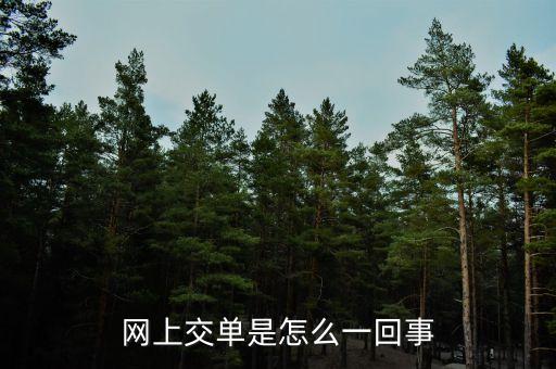 什么叫電子交單，網(wǎng)上交單是怎么一回事