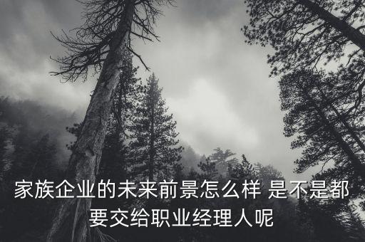 家族企業(yè)的未來(lái)前景怎么樣 是不是都要交給職業(yè)經(jīng)理人呢