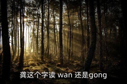 龔這個(gè)字讀 wan 還是gong