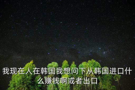 我現(xiàn)在人在韓國(guó)我想問下從韓國(guó)進(jìn)口什么賺錢啊或者出口