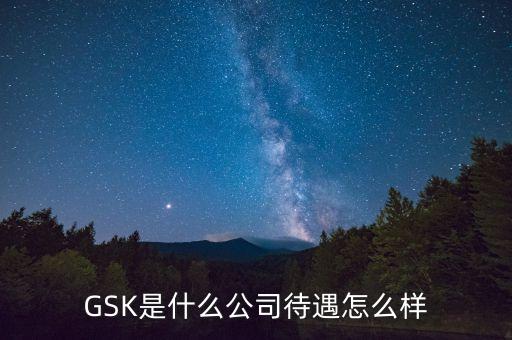 gsk公司的價(jià)值觀是什么，GSK是什么意思