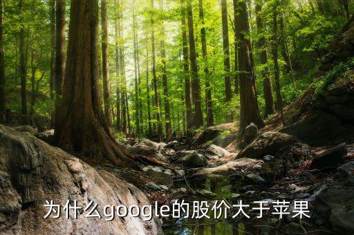 為什么google股票比apple貴，為什么微軟的股價(jià)比硅谷其他巨頭比如蘋果Google低那么多