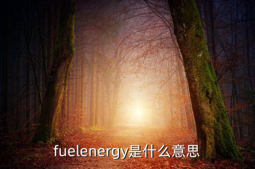 fuelenergy是什么意思