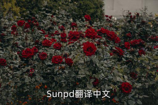 sun同上什么意思，Sunpd翻譯中文