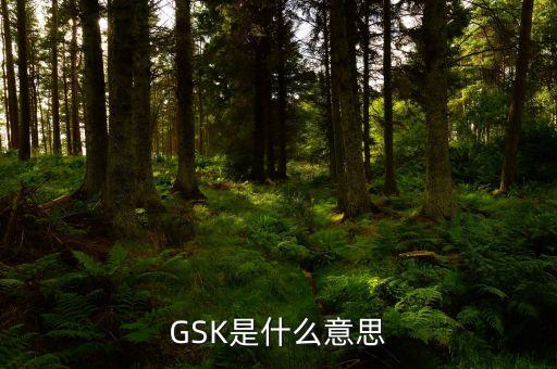 GSK是什么意思