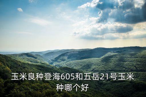 玉米良種登海605和五岳21號玉米種哪個好