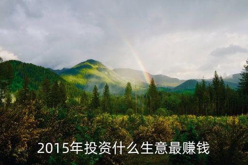 2015投資什么掙錢，2015年投資什么能賺錢