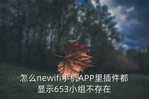 怎么newifi手機APP里插件都顯示653小組不存在