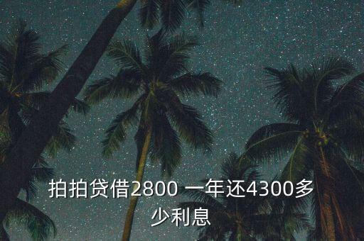 什么是拍拍貸，拍拍貸借2800 一年還4300多少利息