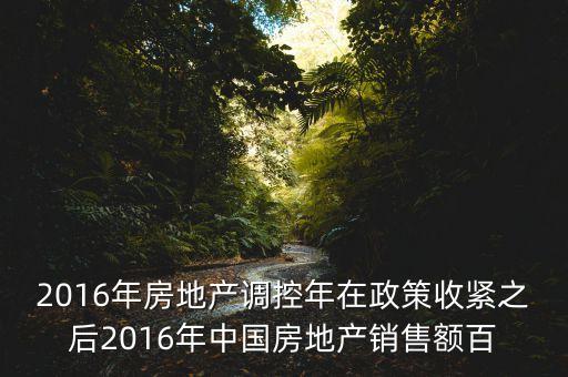 2016房市下一步還能出什么政策，2016年房地產(chǎn)調(diào)控年在政策收緊之后2016年中國(guó)房地產(chǎn)銷售額百