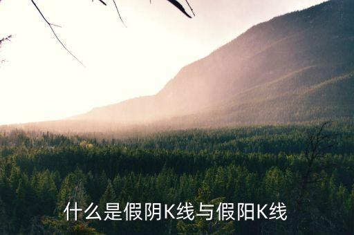 股票假陰線什么意思，假陰線說明什么