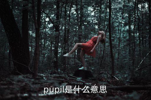 pupil是什么意思