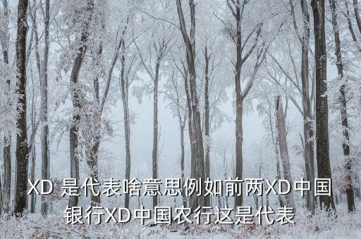 農(nóng)行中證代表什么，XD 是代表啥意思例如前兩XD中國(guó)銀行XD中國(guó)農(nóng)行這是代表