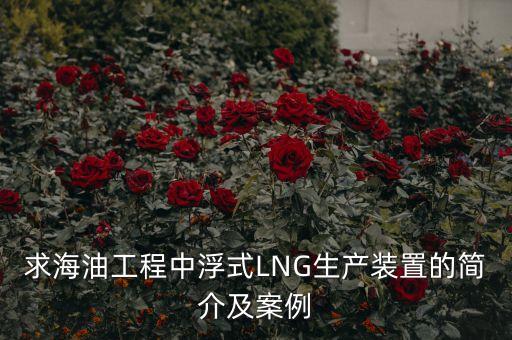 什么是浮式lng項目，什么是浮式LNG