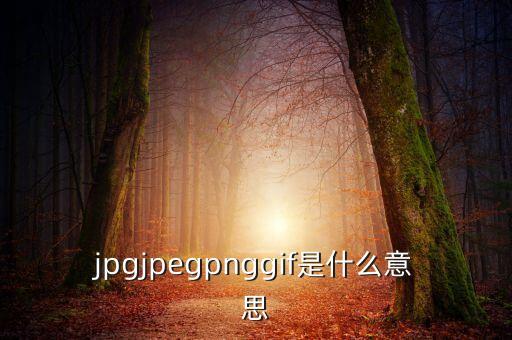 什么是代價(jià)比率，JPG文件會(huì)有病毒嗎