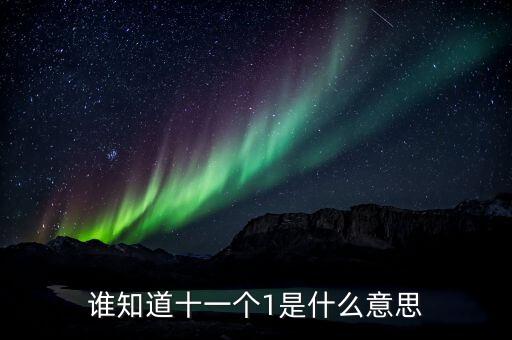 銀行說的逾期10個1是什么意思，誰知道十一個1是什么意思