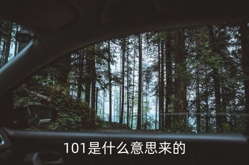 101是什么意思來(lái)的