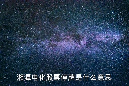 湘潭電化股票停牌是什么意思