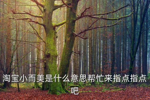 淘寶小而美是什么意思幫忙來(lái)指點(diǎn)指點(diǎn)吧