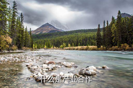 什么是產(chǎn)業(yè)合作