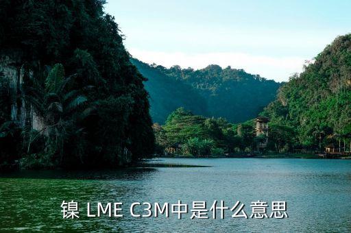 鎳 LME C3M中是什么意思