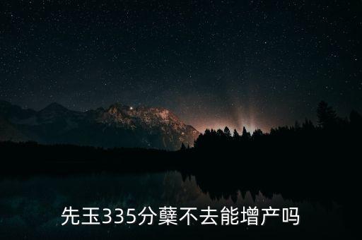 先玉335產(chǎn)量為什么低，先玉335分蘗不去能增產(chǎn)嗎