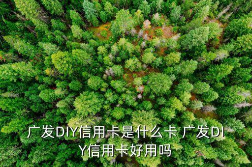 什么是diy信用卡，廣發(fā)DIY信用卡是什么卡 廣發(fā)DIY信用卡好用嗎