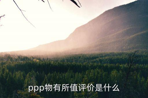 ppp物有所值評估是什么，PPP的物有所值論證是從哪方面來做的