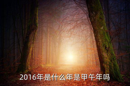 2016年是什么的開局之年，2016年是什么年是甲午年嗎