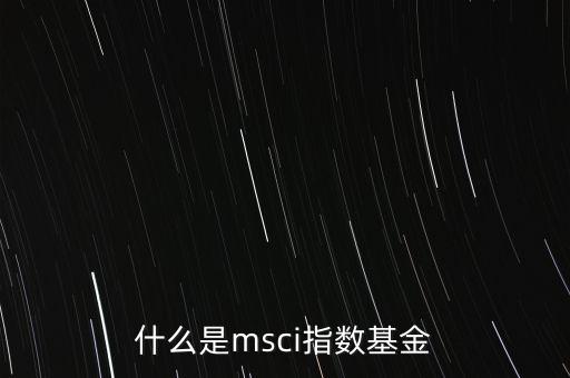 什么是msci指數(shù)基金