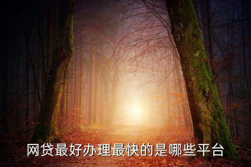 什么網(wǎng)貸最好申請，國內(nèi)有哪些比較好的網(wǎng)貸平臺了