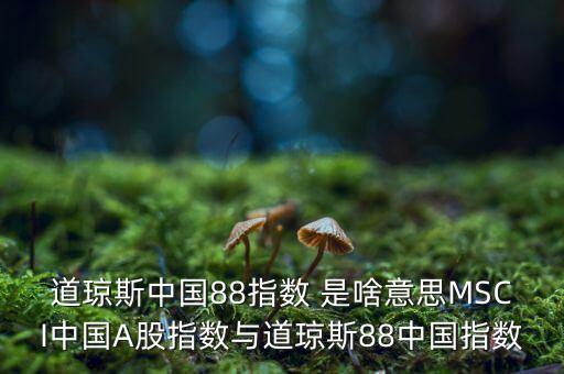 88開頭的股票是什么股，88打頭的股票代碼是那個交易所