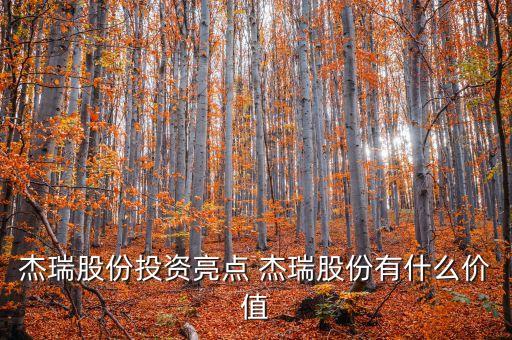 杰瑞股份是什么公司，sunedison是什么公司