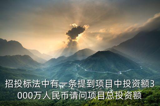 招投標(biāo)法中有一條提到項目中投資額3000萬人民幣請問項目總投資額